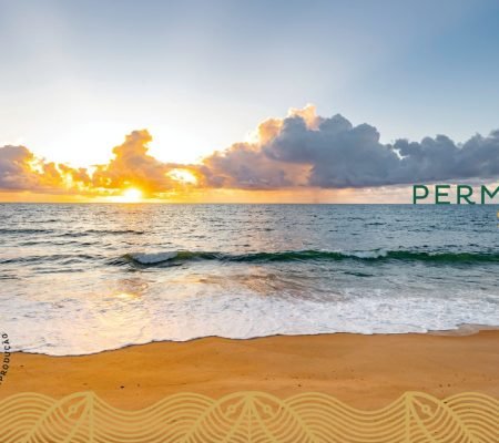 BOOK DIGITAL 30.10.23_page-0003