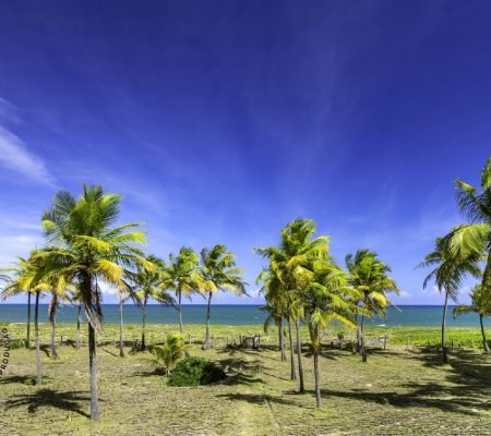 BOOK DIGITAL 30.10.23_page-0011