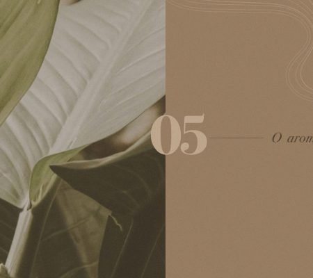 BOOK_BC_MILAGRES_V13_74
