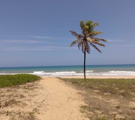 WhatsApp Image 2024-01-30 at 15.21.58 (2)