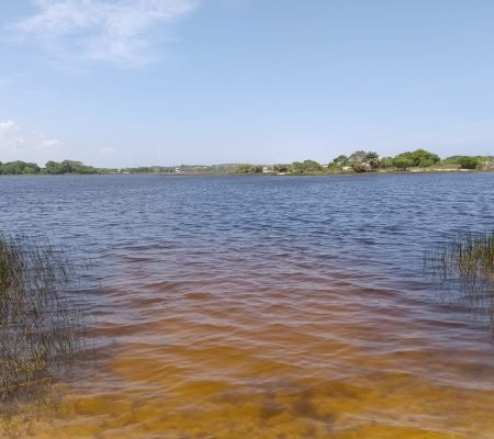 WhatsApp Image 2024-01-30 at 15.21.59