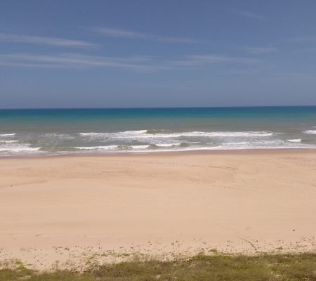 WhatsApp Image 2024-01-30 at 15.22.02 (1)