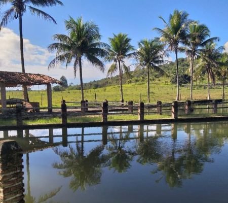 WhatsApp Image 2024-07-13 at 16.36.12 (1)