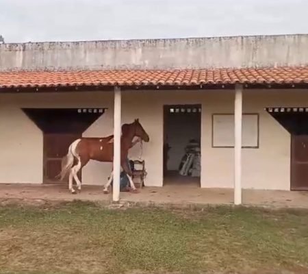 WhatsApp Image 2024-07-13 at 16.36.12 (3)