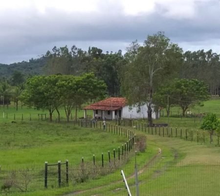 WhatsApp Image 2024-07-13 at 16.36.12