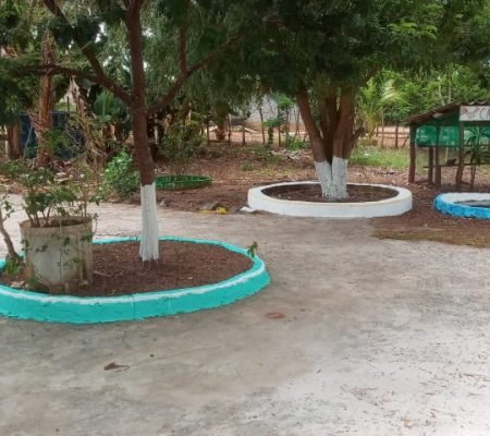 WhatsApp Image 2024-11-14 at 08.24.36