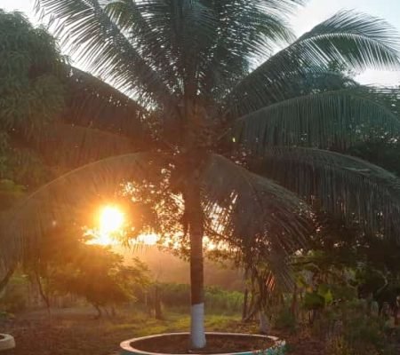 WhatsApp Image 2024-11-14 at 08.24.37