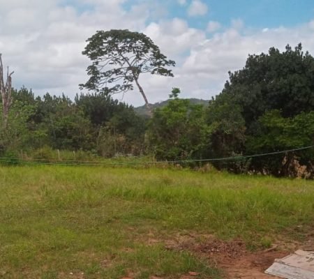 WhatsApp Image 2024-11-14 at 08.24.44 (1)