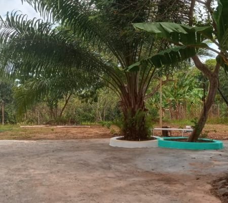 WhatsApp Image 2024-11-14 at 08.24.45 (1)