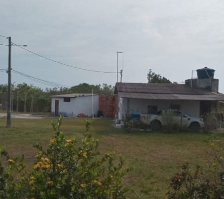 WhatsApp Image 2024-11-14 at 11.40.47