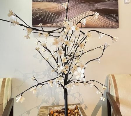 WhatsApp Image 2025-06-20 at 12.24.57 (1)