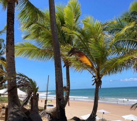 WhatsApp Image 2025-06-20 at 12.24.59