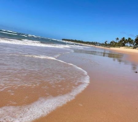 WhatsApp Image 2025-06-20 at 12.25.05 (1)