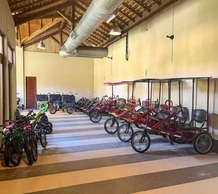 WhatsApp Image 2025-06-20 at 12.25.11