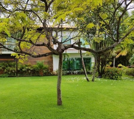 WhatsApp Image 2025-07-07 at 11.26.50