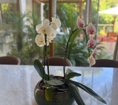 WhatsApp Image 2026-01-27 at 11.41.35