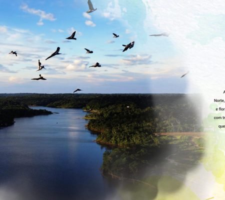 sodapdf-converted_Page_3