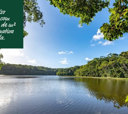 sodapdf-converted_Page_4